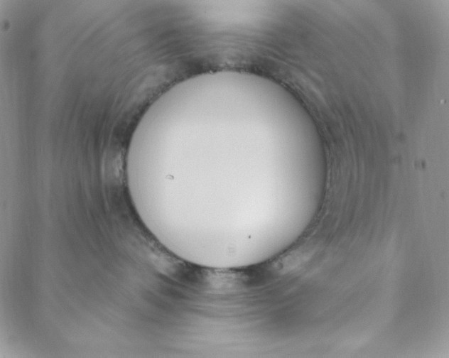 X0000088610336200706081440