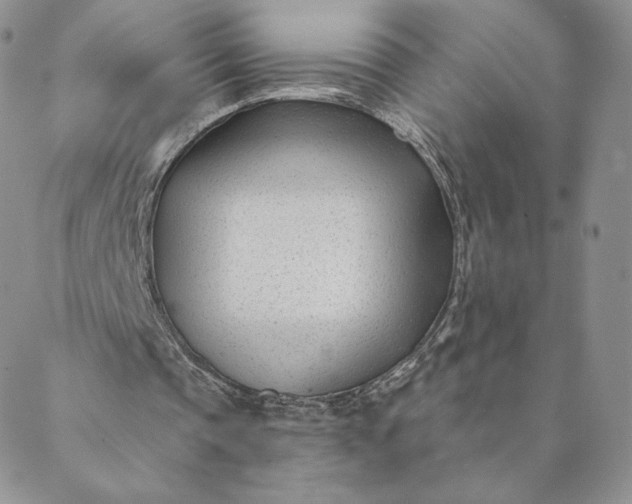 X0000088610337200706081439