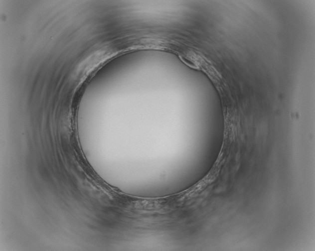 X0000088610338200706081439