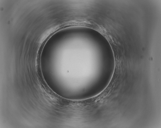 X0000088610340200706081439