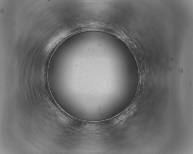 X0000088610341200706081439