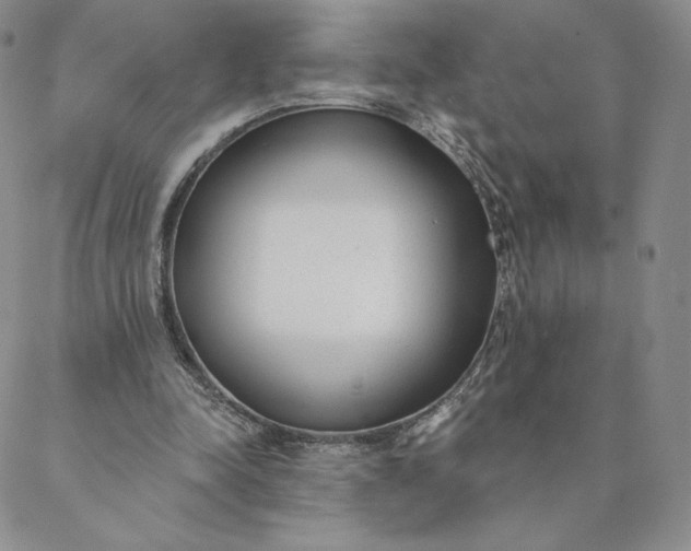 X0000088610342200706081440