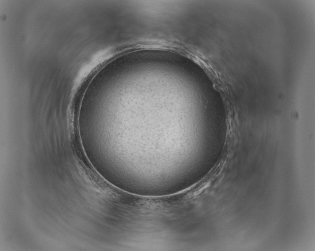 X0000088610343200706081440