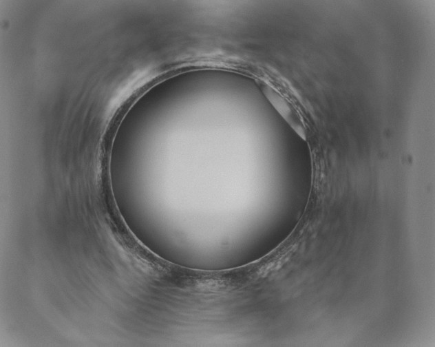 X0000088610344200706081440