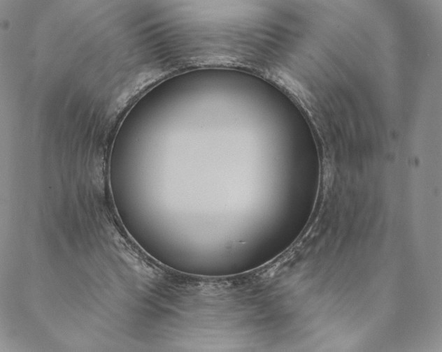 X0000088610345200706081440