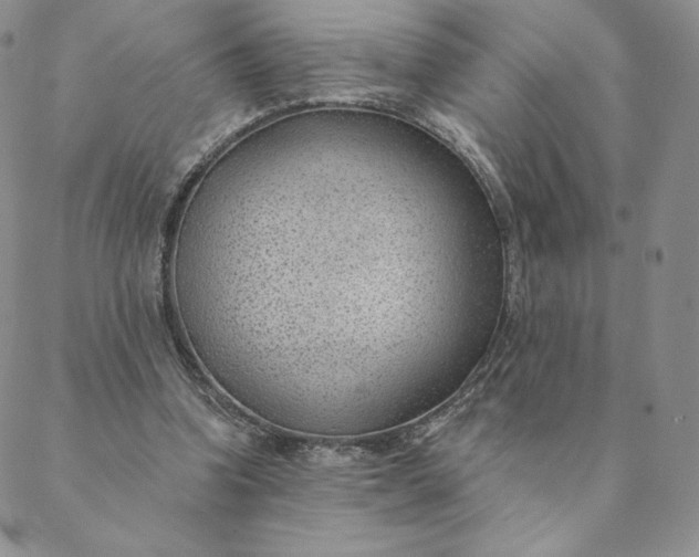 X0000088610346200706081440