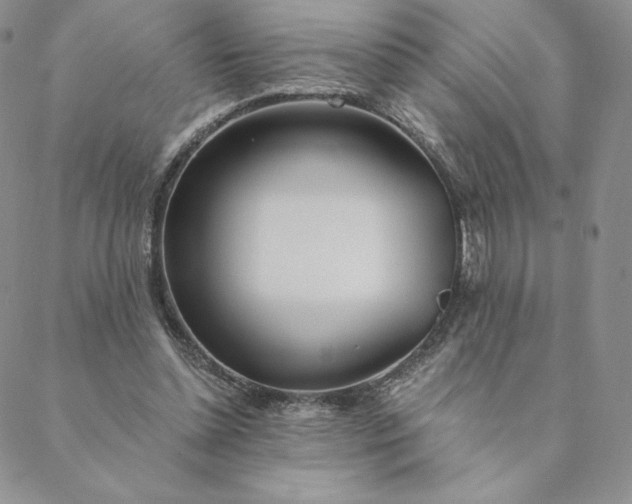 X0000088610348200706081440