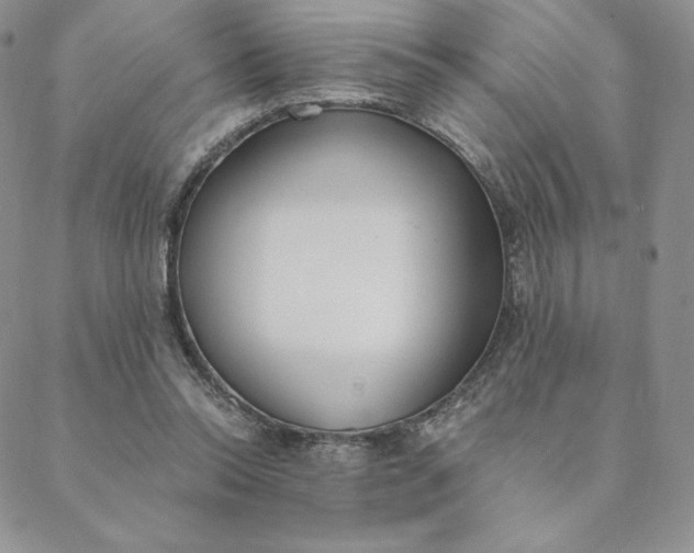 X0000088610350200706081440