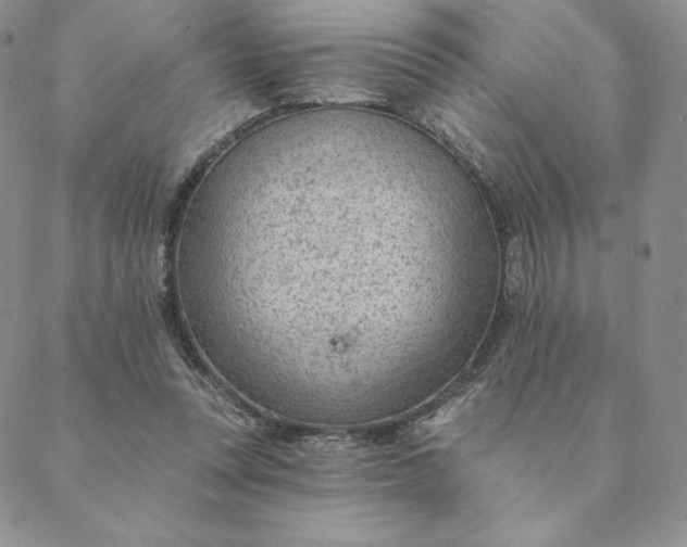 X0000088610351200706081440