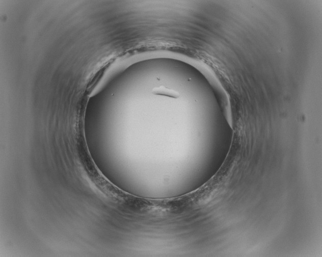 X0000088610352200706081440