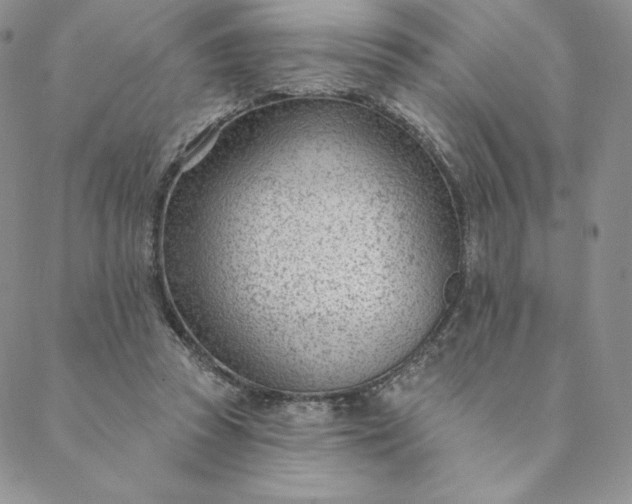 X0000088610353200706081440