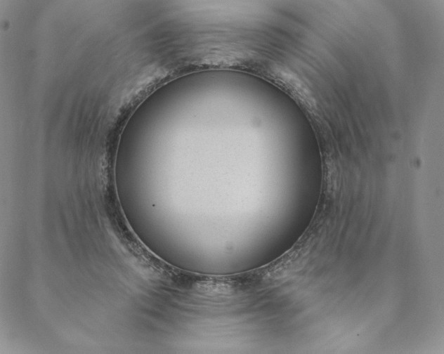 X0000088610354200706081440