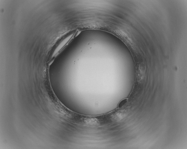 X0000088610355200706081440