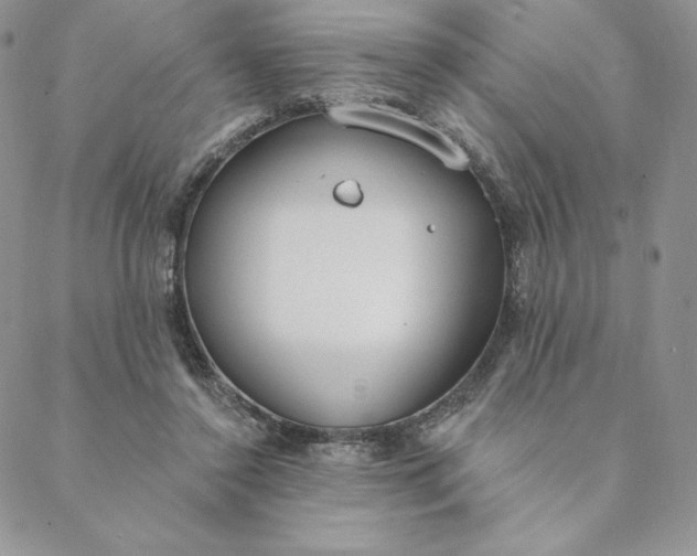 X0000088610356200706081440