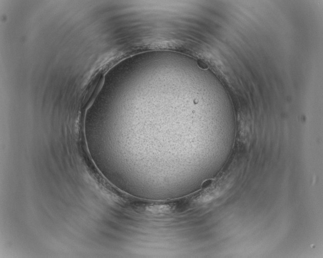 X0000088610357200706081440