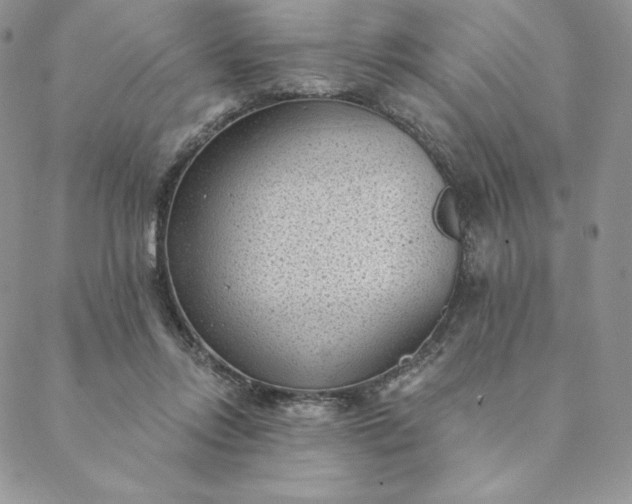 X0000088610358200706081440