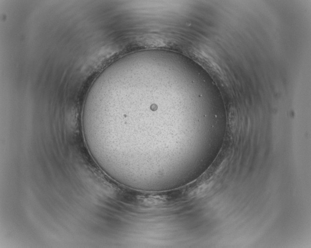 X0000088610359200706081440