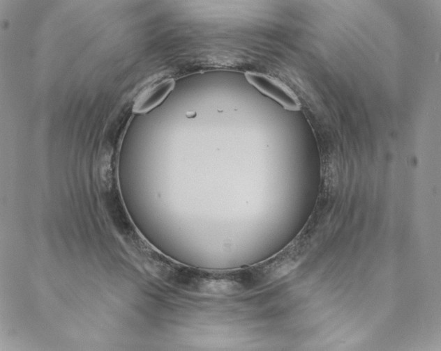 X0000088610360200706081440