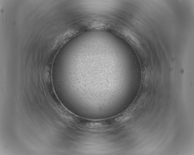 X0000088610361200706081440