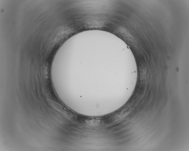 X0000088610362200706081440