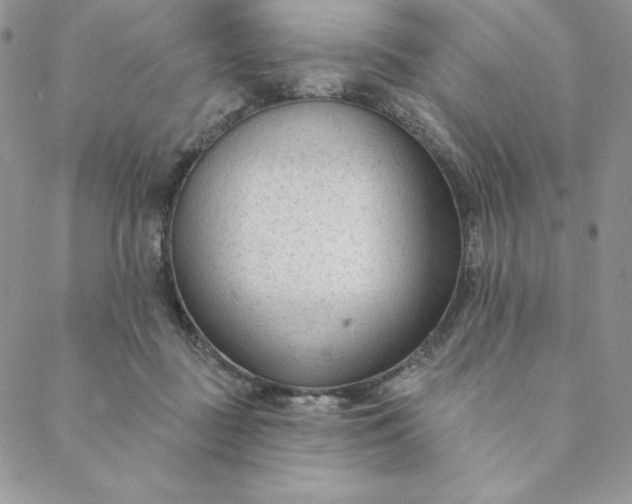 X0000088610363200706081440