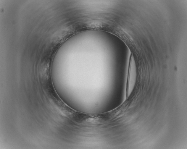 X0000088610364200706081440