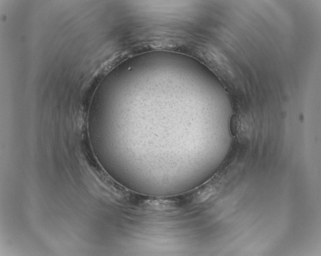 X0000088610367200706081440