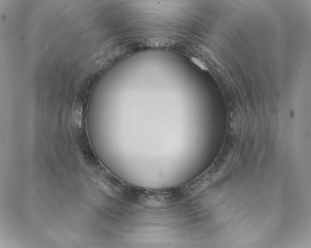 X0000088610368200706081440