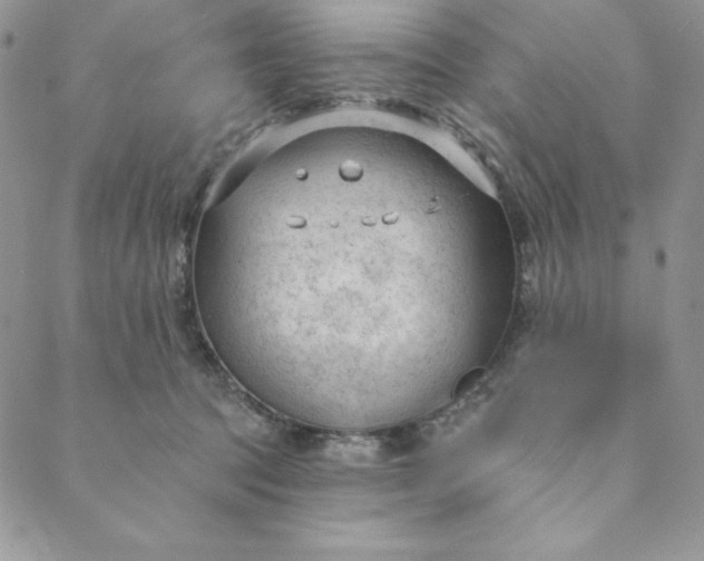 X0000088610369200706081440