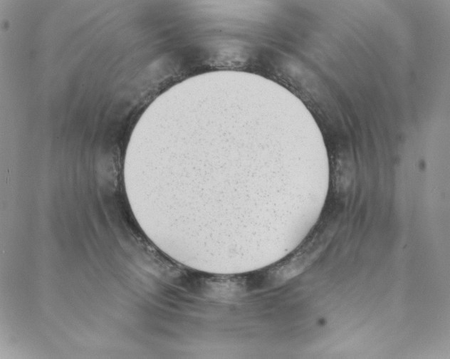 X0000088610370200706081440