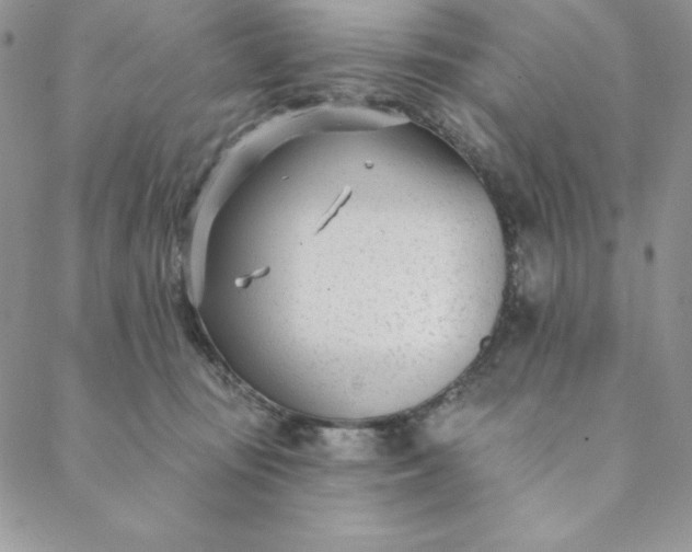 X0000088610371200706081440