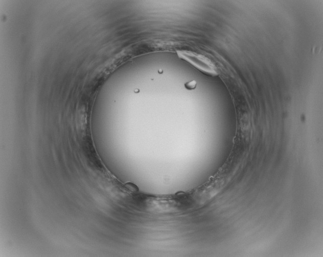 X0000088610372200706081440