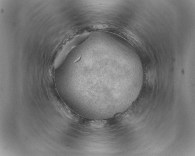 X0000088610373200706081440