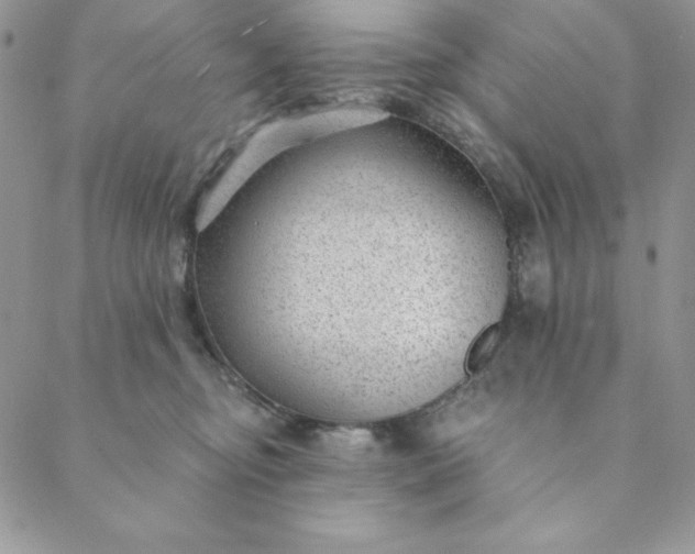 X0000088610374200706081440