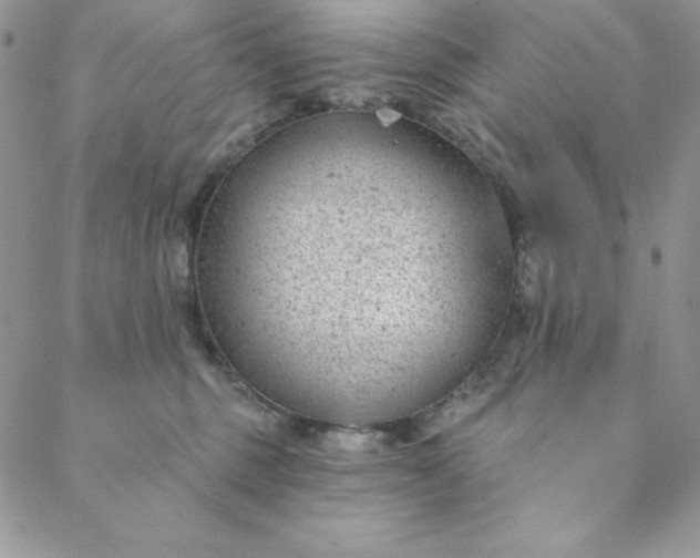 X0000088610375200706081440