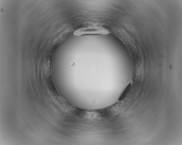 X0000088610376200706081440