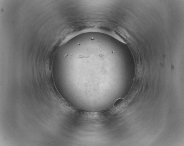 X0000088610377200706081440