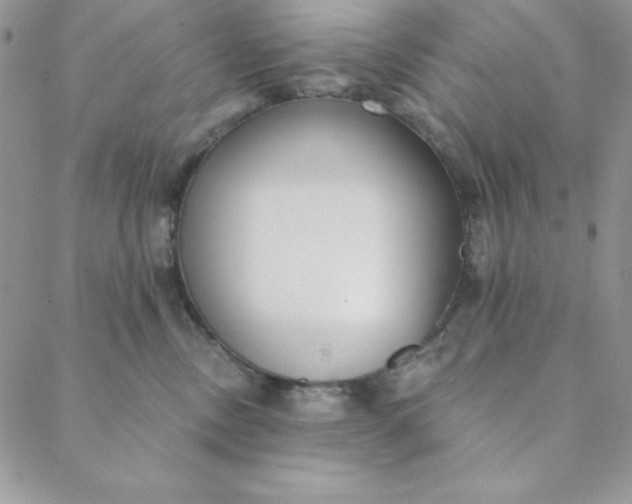 X0000088610378200706081440