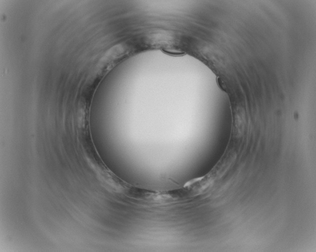 X0000088610379200706081440