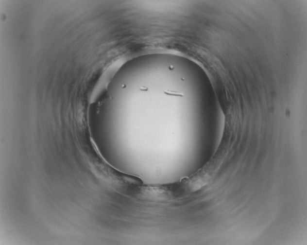 X0000088610380200706081440