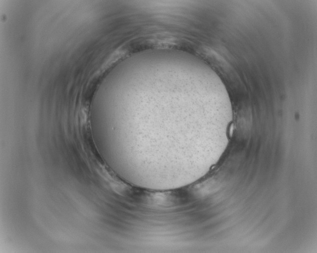 X0000088610382200706081440