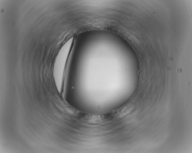 X0000088610384200706081440