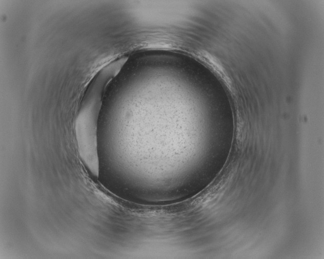 X0000088610385200706081439