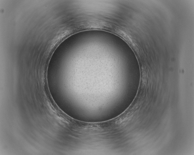 X0000088610386200706081439