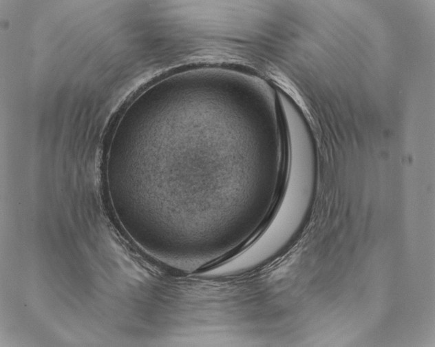 X0000088610387200706081439