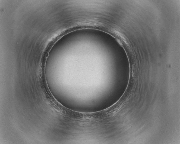 X0000088610388200706081439