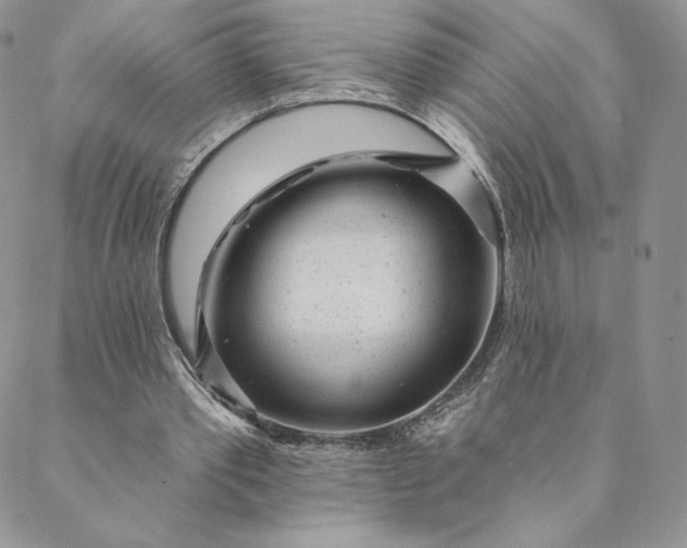 X0000088610389200706081439