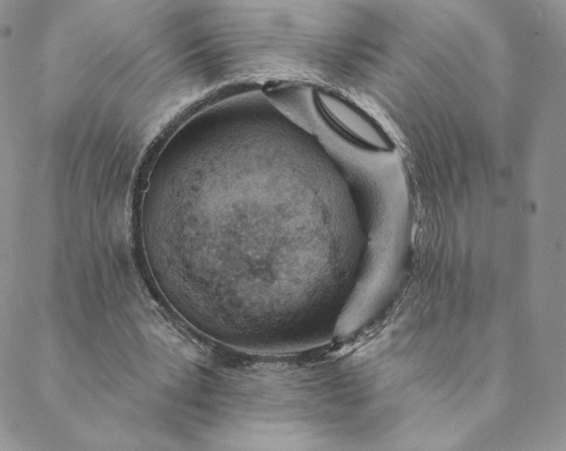 X0000088610391200706081439