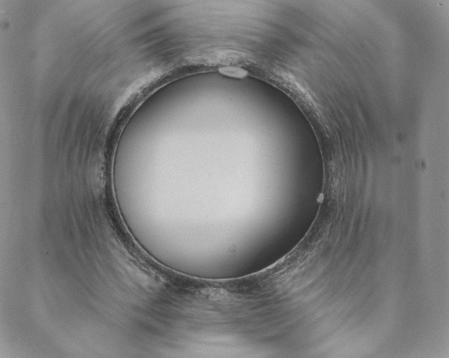 X0000088610392200706081439