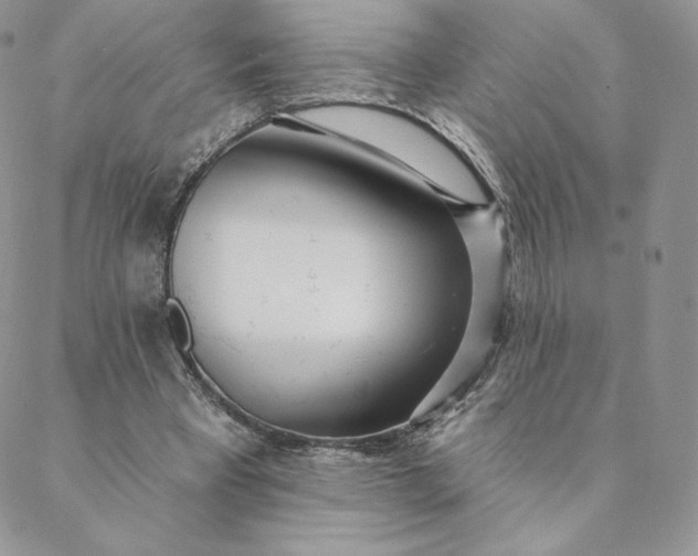 X0000088610393200706081439